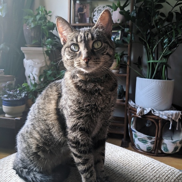 Meet your Posher, Jessica - Picture 5 of 13